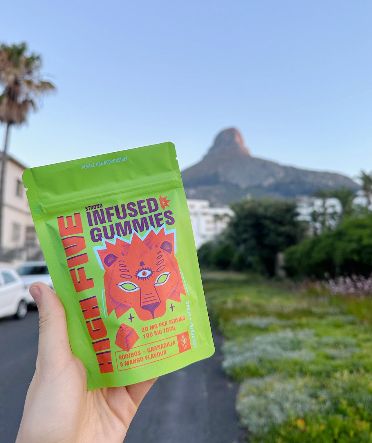 High five 4枚 High Five: Delicious & Fun-Filled Treats